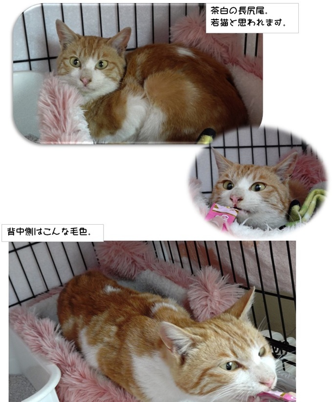 12/10 保護しました