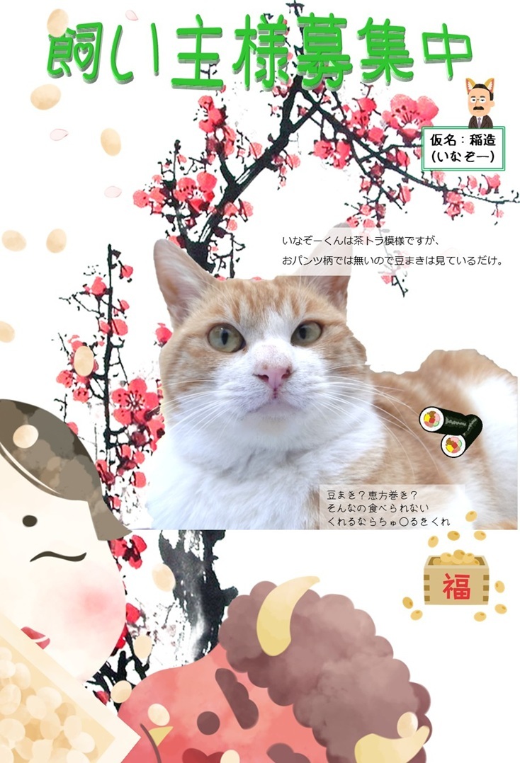 1/29 飼い主募集