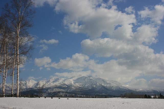 初春の旭ヶ丘から大雪山連峰を望む1.jpg