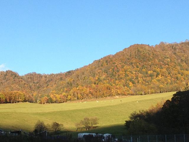 牧場と紅葉の山.jpg