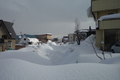 河川に雪が捨てられている状況写真1.jpg