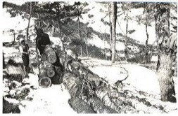 tikuriki (JPG 22.4KB)