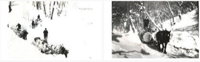 bachibachi (JPG 29.9KB)