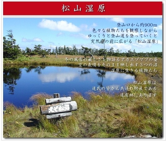 松山湿原