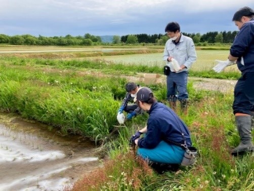 除草剤の水口施用（5/31）