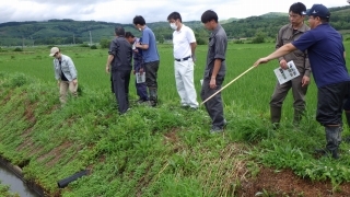あぜを確認する農業者