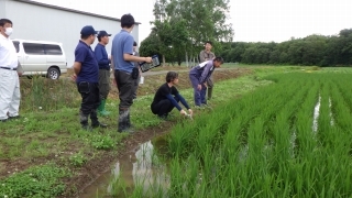 試験ほを確認する農業者