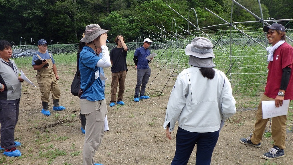 さやえんどうを説明する上川氏