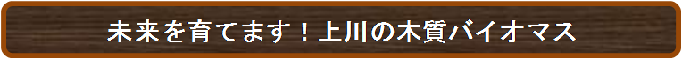 bio1.png