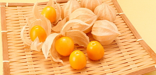 kf_img_article10_img01.jpg