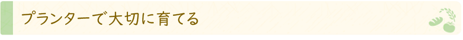 title2.png