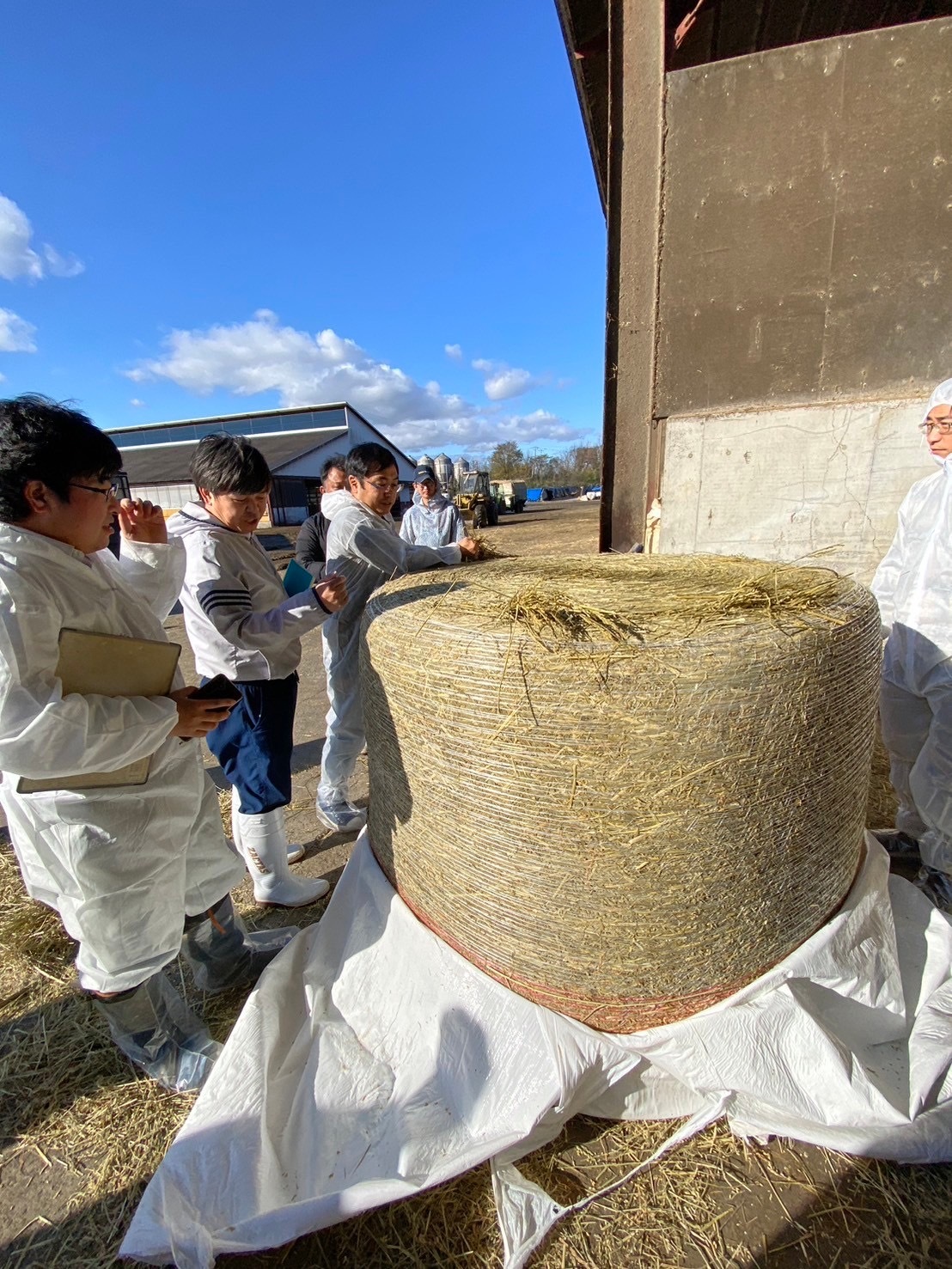 写真１　開封による荷姿