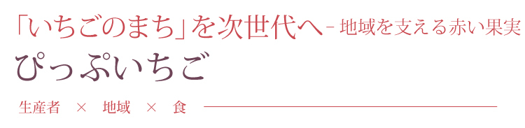 kamifood_pippuichigo_top.jpg