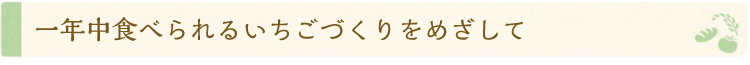 kamifood_tittle_pippuichigo03.jpg