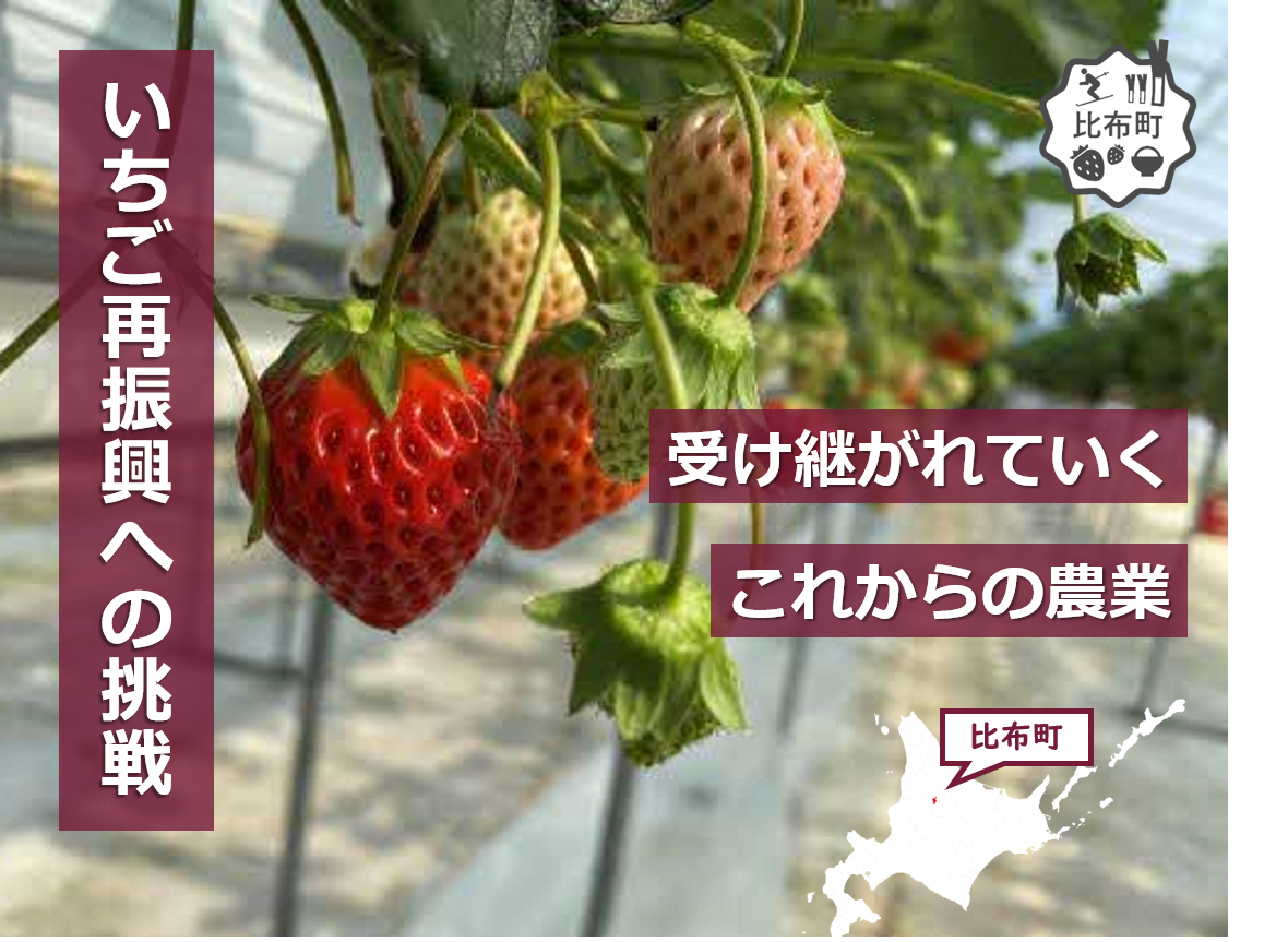 比布町
