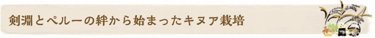 kenbuchiviva_m1.jpg