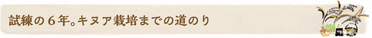 kenbuchiviva_m2.jpg