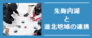 kf_bnt_side_article_03new.jpg