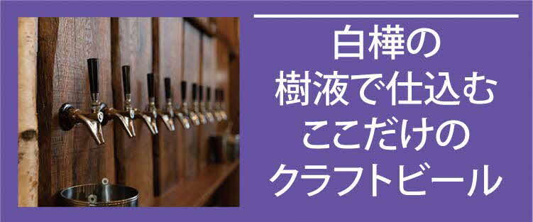shirakababuriwari013.jpg