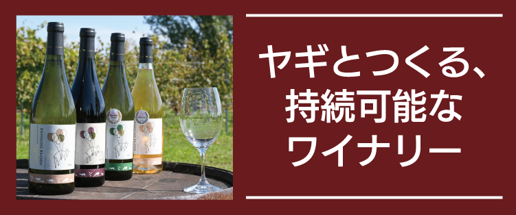 中富良野レゾン小 (2).png