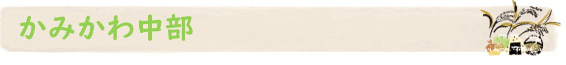 kamikawac.png