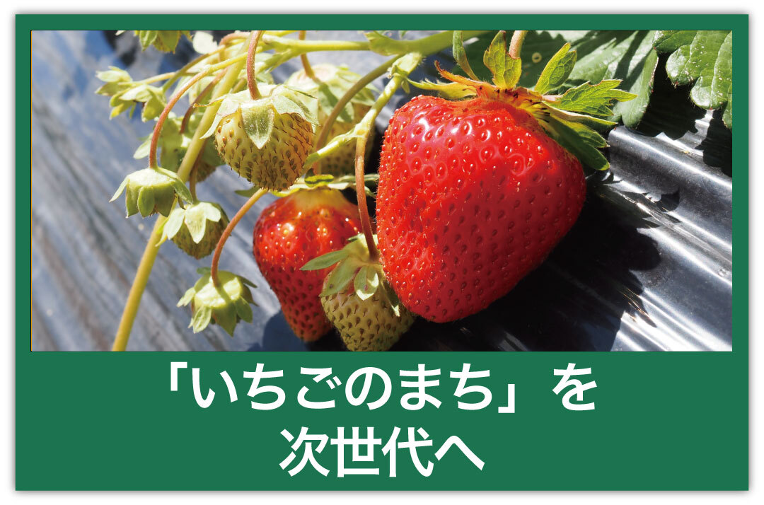 kamifood_pippuichigo.jpg
