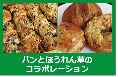 パンほうれん草.jpg
