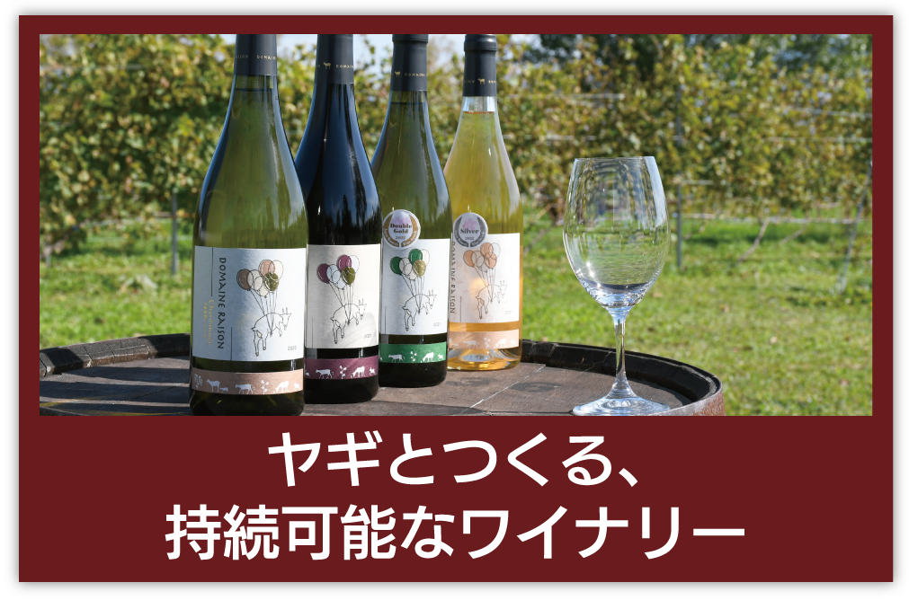 中富良野レゾン大 (2).png
