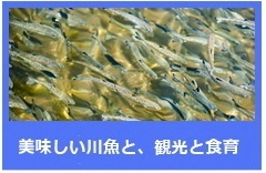大雪漁業修正.jpg