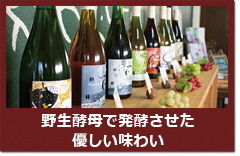 野生酵母.jpg