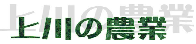 上川の農業