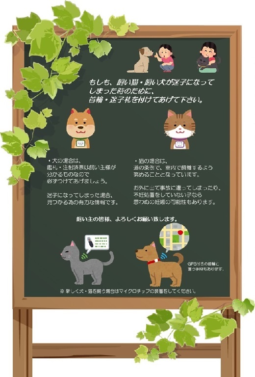 首輪を付けて-7 (JPG 105KB)
