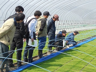 写真2　育苗ハウスの視察