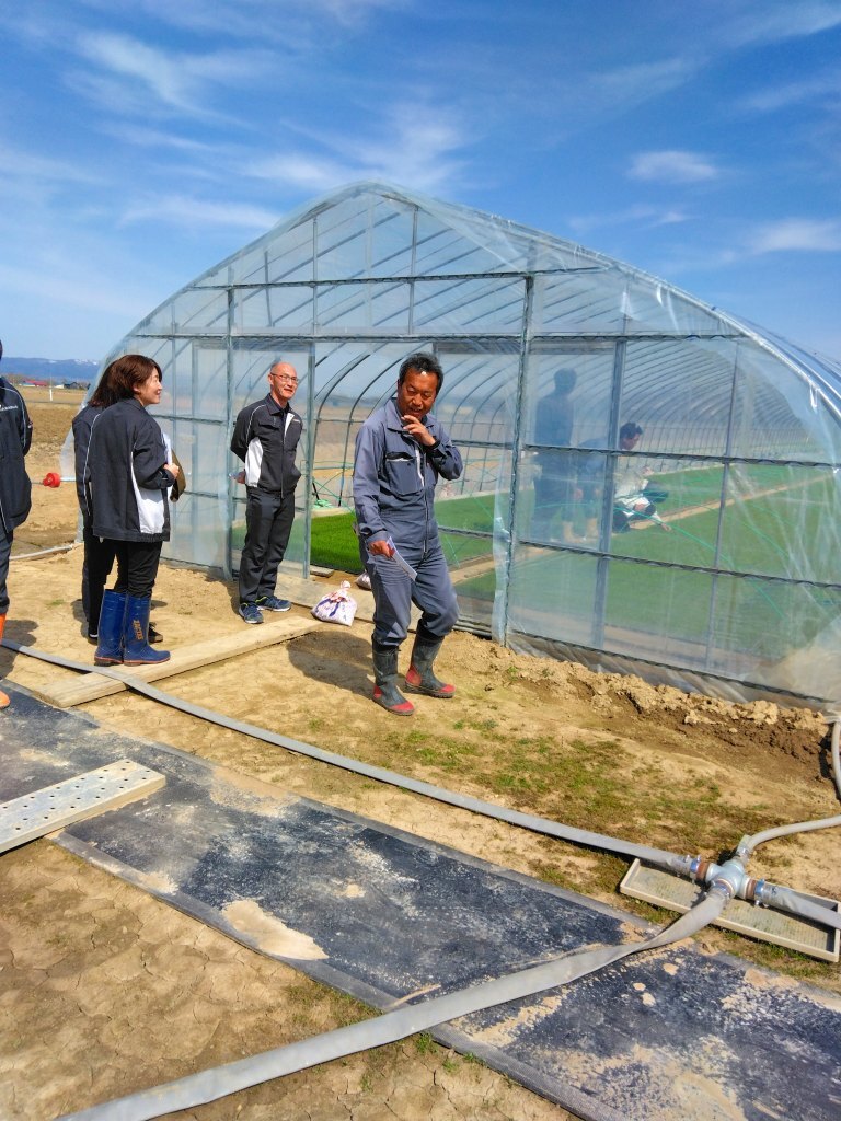 育苗状況を確認