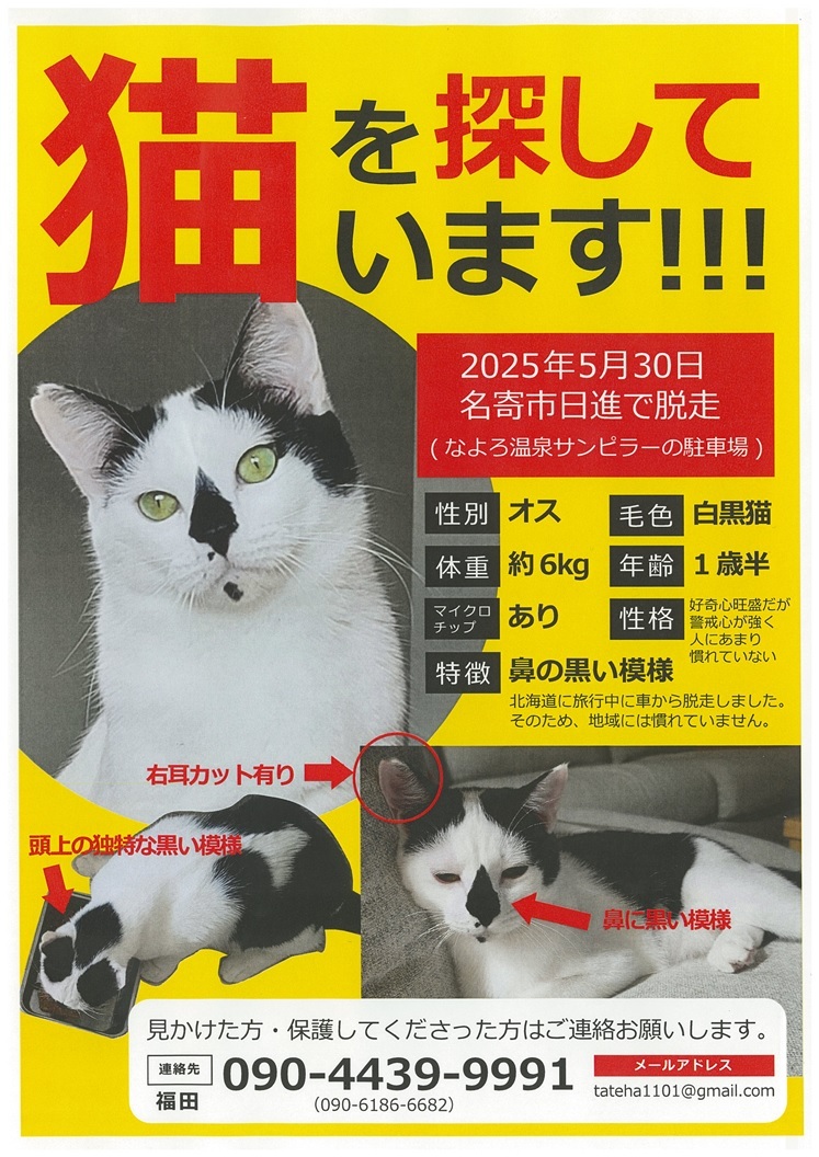 たては君