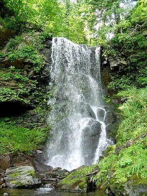 深緑の滝 - 上川総合振興局森林室北部森林室