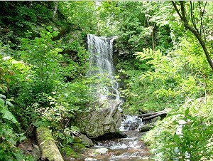 深緑の滝 - 上川総合振興局森林室北部森林室