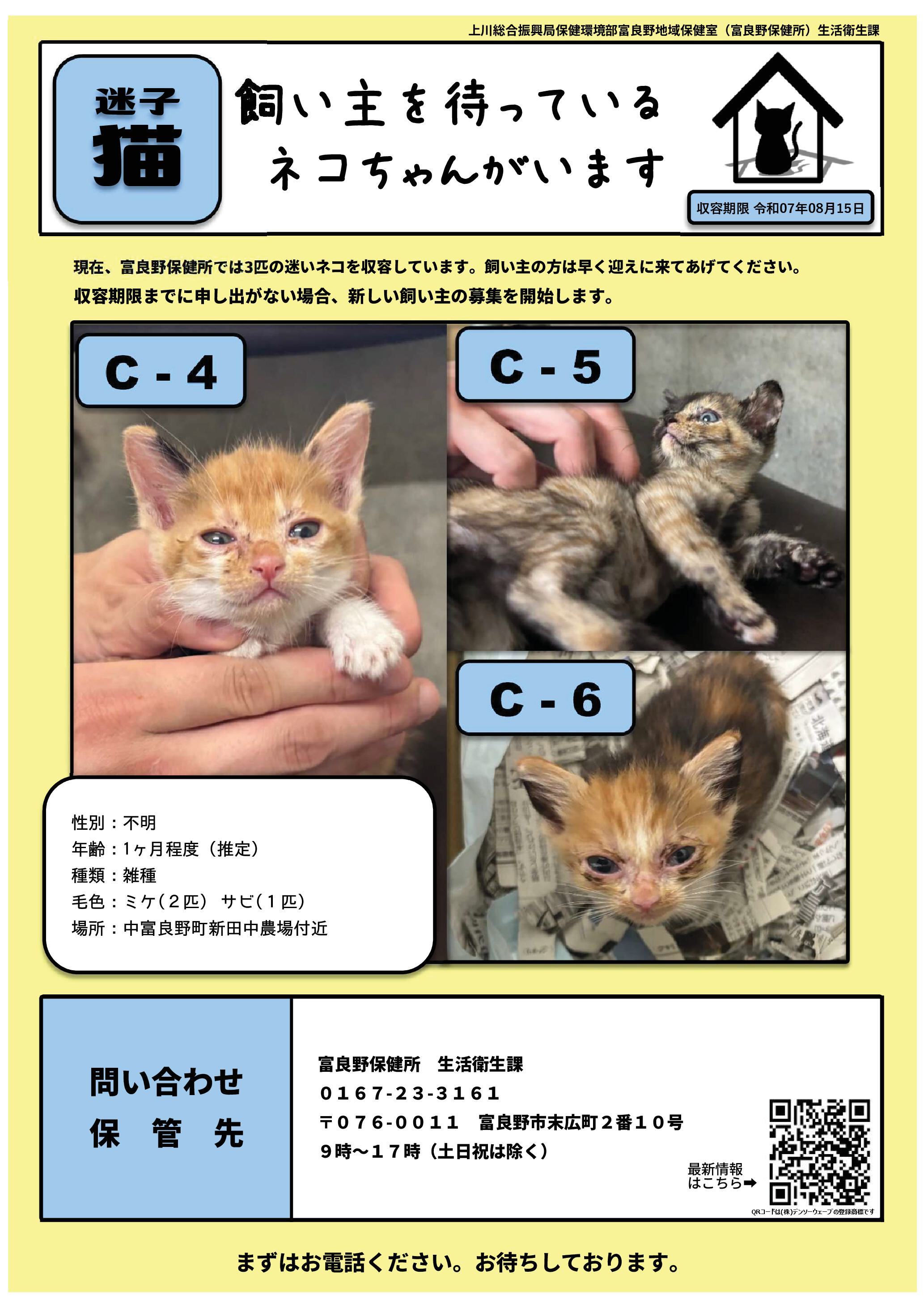 迷い猫ポスター