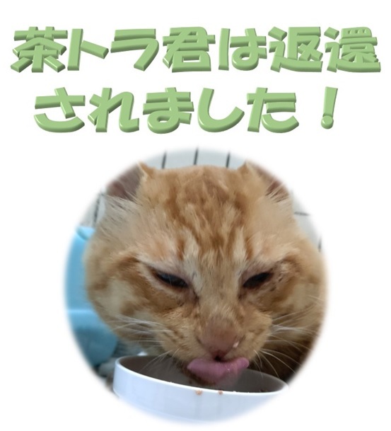 返還されました (JPG 58.7KB)