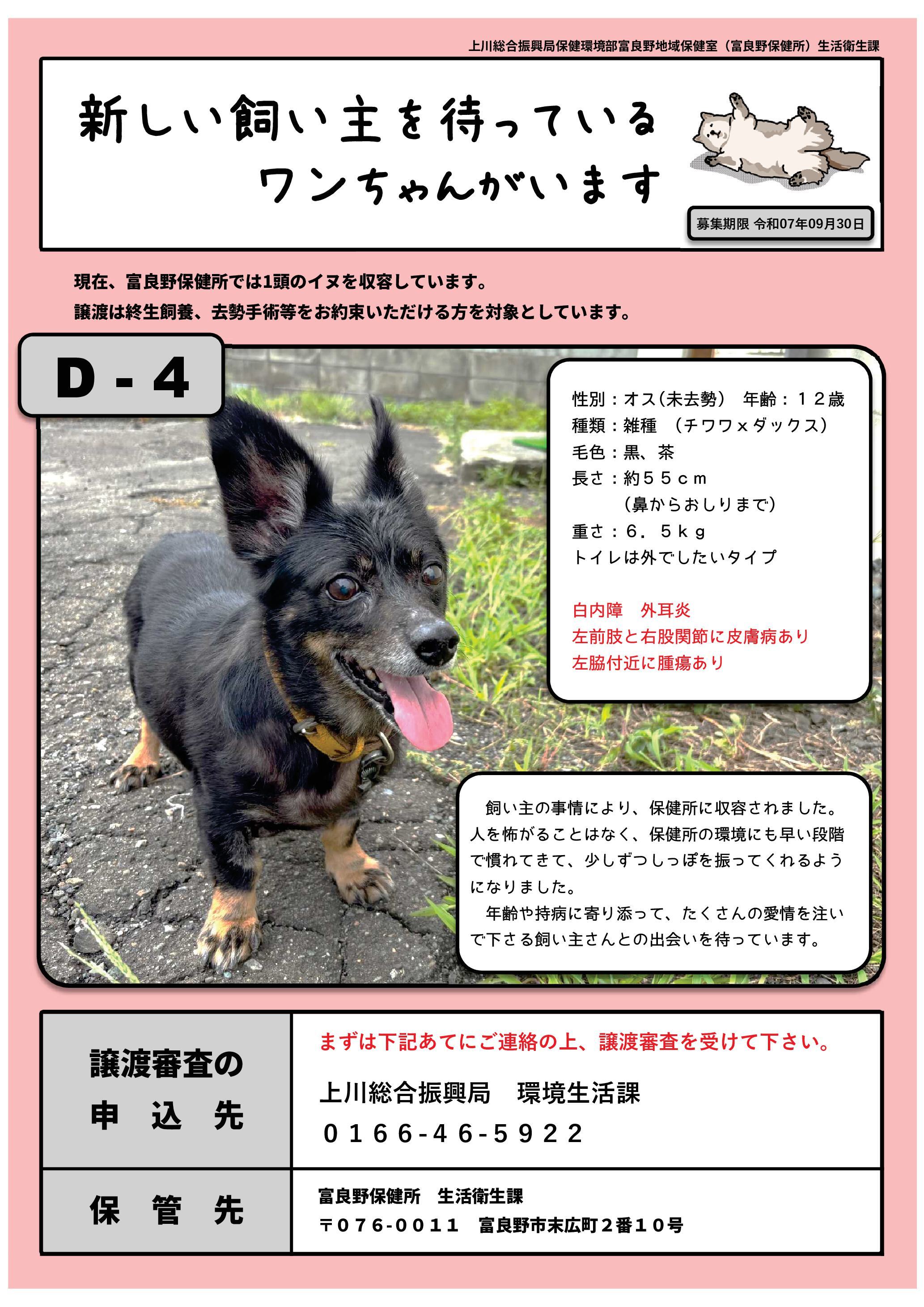 飼い主募集ポスター
