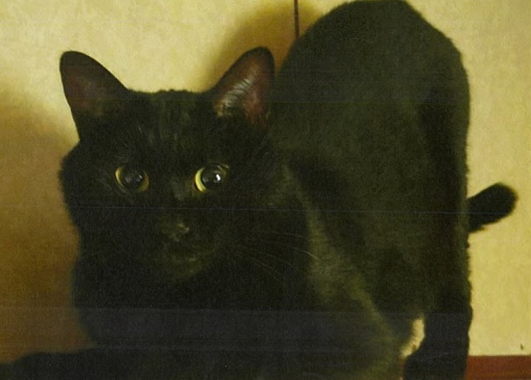 06-03 レオ photo.jpg