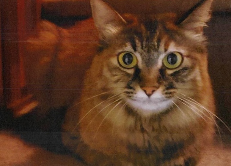 07-04 カール photo.jpg