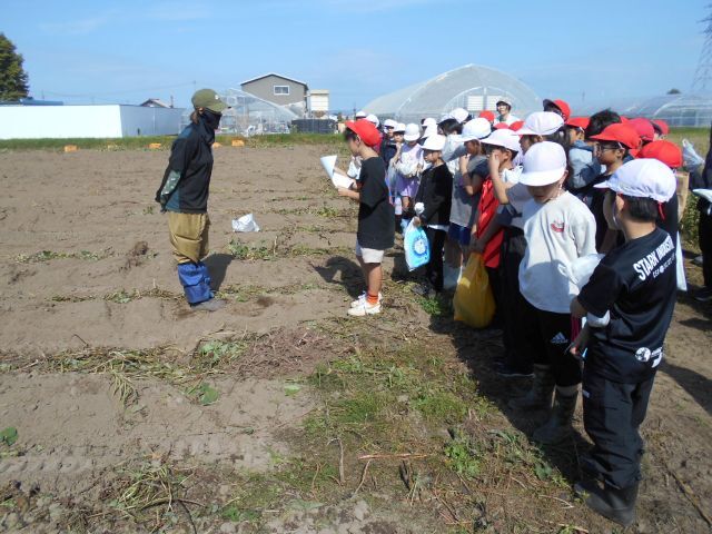 児童からのお礼とさつまいもを使った学校給食への招待