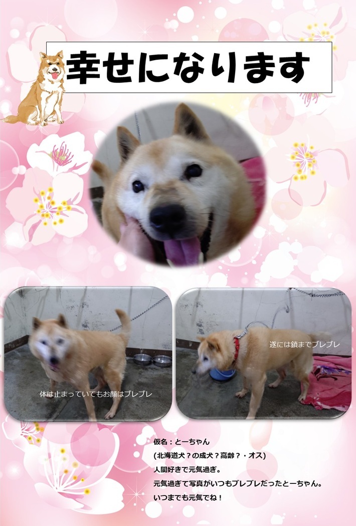 譲渡されました