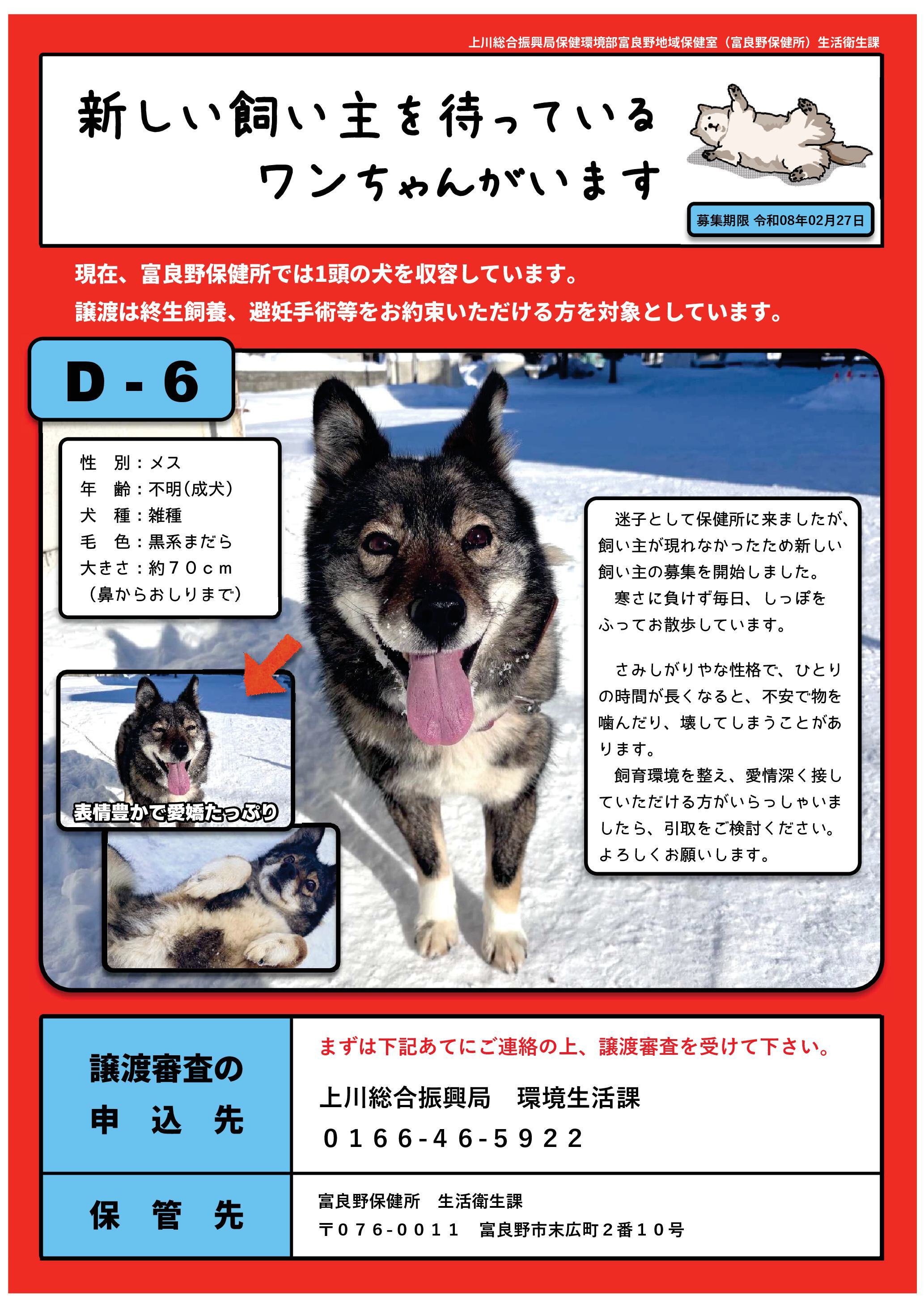 飼い主募集ポスター