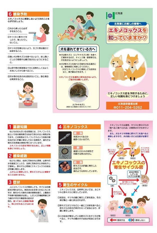 エキノコックスリーフレット