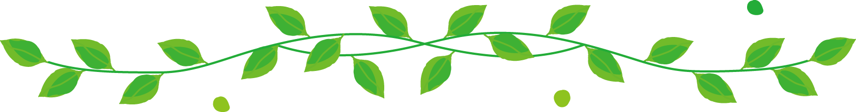 自然葉っぱ (PNG 49.8KB)