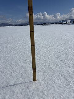 融雪調査の様子②