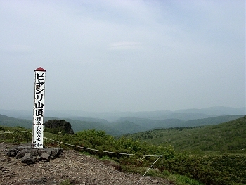 piyashiri-01.jpg