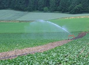 irrigation_021.JPG